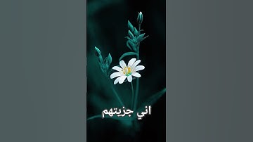 #تلاوة_خاشعة #تلاوة_هادئة #إسلام_صبحي #اسلام_صبحي #خواتيم_سورة_المؤمنون #سورة_المؤمنون #قرآن_كريم