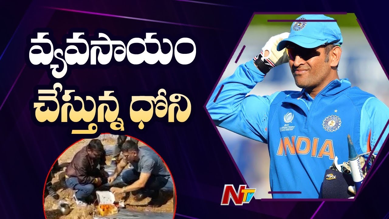 MS Dhoni Turns Into A Farmer, Shares Video of Him Doing Organic Farming | NTV Sports