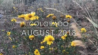 Steamboat Springs, Colorado - Summer 2018