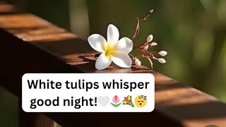 Soft, sweet, and dreamy good night vibes screenshot 3