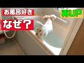 愛犬がお風呂好きになるまで　(再アップ)