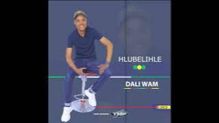HLUBELIHLE Ezanamhlanje FT Hluphehlupheka official Audio