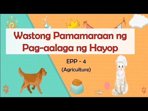 Video: Paano Maging Alagang Hayop Ng Guro