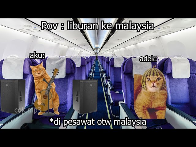 Pov : liburan ke malaysia | meme kucing 🤣 10 class=