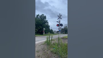 Old Crossing Signals In Action In Romulus, MI! (7/10/24)