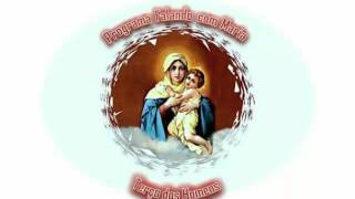 Como  baixar o aplicativo RADIOSNET! screenshot 4