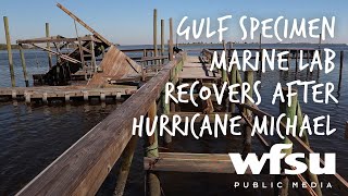 Gulf Specimen Marine Lab Recovers After Hurricane Michael