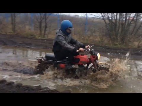 Мотор экспорт минск Мотор экспорт минск