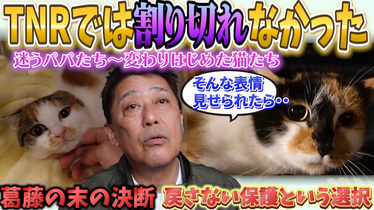 迷いながら選んだPNM― 変わりゆく猫たちとパパの想い ―