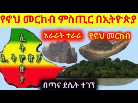 ቪዲዮ: የጀርመን ጥቃት አውሮፕላኖች በማሽን ጠመንጃዎች ፣ መድፎች እና አውሮፕላኖች