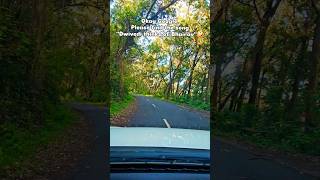 Google finally found this song😂|wait till the end #shortsfeed #funny #trending #reels #believer
