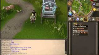 RUNESCAPE- FRAPS SPEED TEST