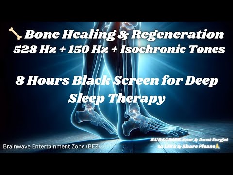 8 Hours Bones