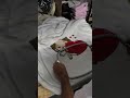Let's customize this blanket using sublimation and embroidery #embroidery