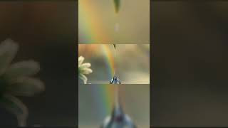 Peaceful Until You Notice This Detail #animation #shorts