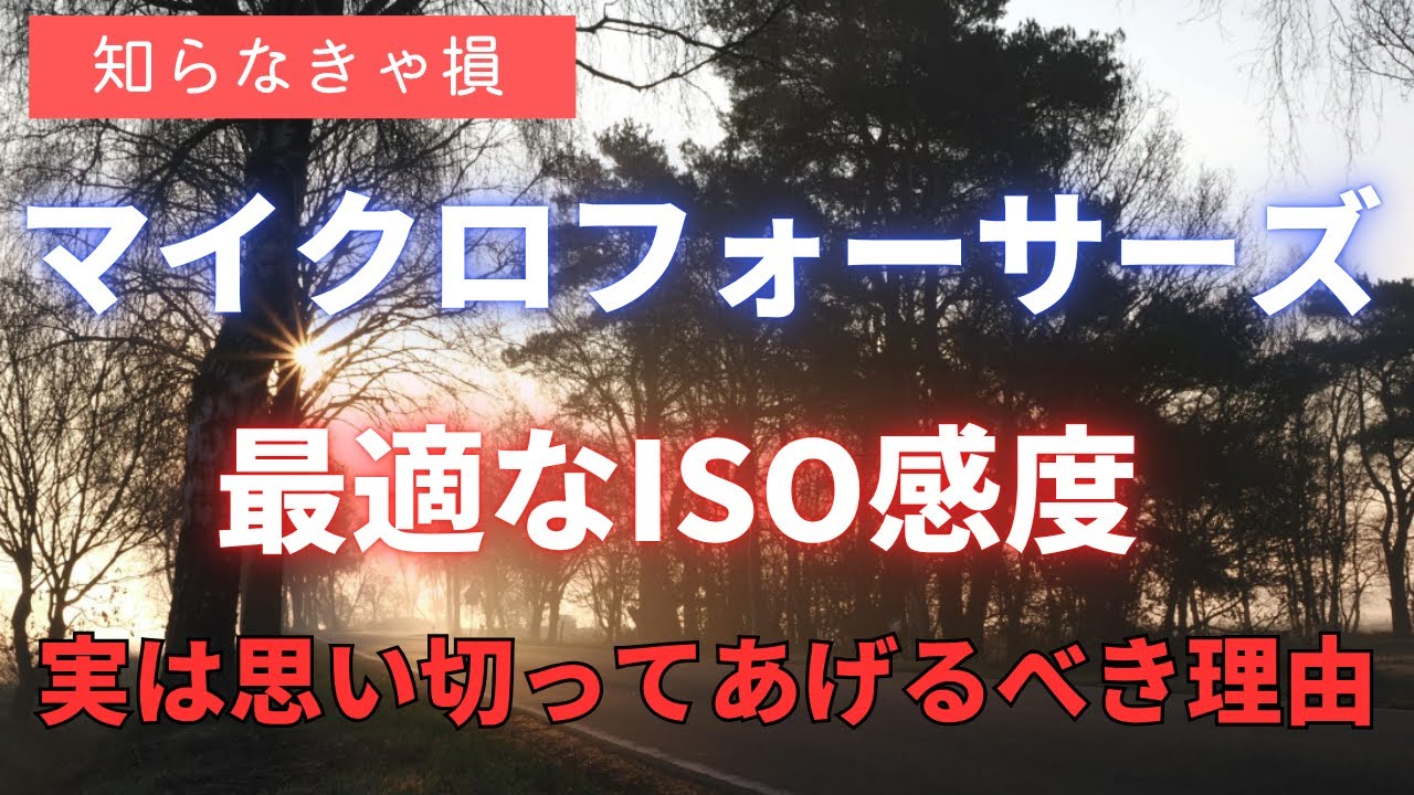【中古】 元気のでるISO（続） 知らなきゃ損】マイクロフォーサーズの最適なISO感度 思い切ってあげる