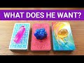 WHAT DOES HE WANT TO HAPPEN BETWEEN US? 💖🥰😍 *Pick A Card* Love Tarot Reading Twin Flame Soulmate Ex