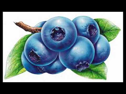 მოცვის სასარგებლო თვისებები