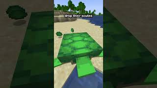Do THIS To Breathe Underwater In Minecraft!