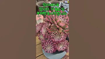 2025년 8월 31일 
