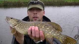 Pike Attack on a  Abu Fat Head Killer jerkbait   Gopro cam 24-10-2015