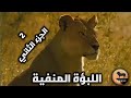 بعد طردها من الزمرة اللبؤة تحارب وحدها في البراري لحماية أشبالها هل ستنجح دراما في عالم الحيوانات 2