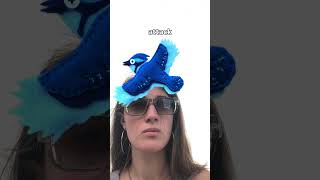 A song I wrote called “Blue Jay” out on all platforms
