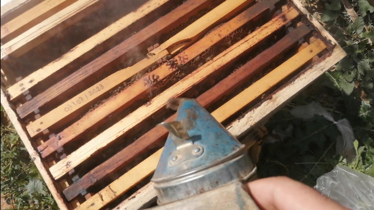 أين نضيف الإطار الجديد؟؟ وهل الشمع الممطوط أفضل أم الأساس و لماذا؟؟