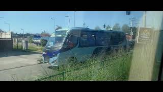 Inrecar geminis puma LO916 | 17 Expresos chiguayante (Hulu)