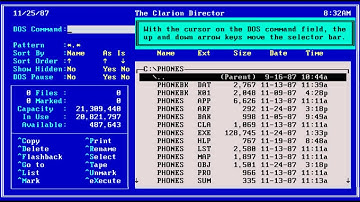 Clarion Professional Developer 2.1 for DOS tutorial - 15/16 - Direktor