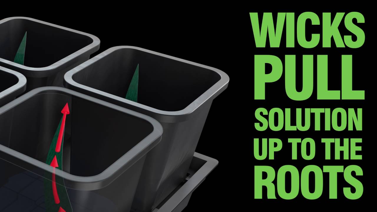 Nutriculture  Quadgrow System