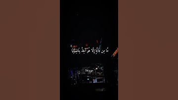 ﴿ إِنِّي تَوَكَّلْتُ عَلَى اللَّهِ رَبِّي وَرَبِّكُم ۚ )  القارئ ماهر المعيقلي