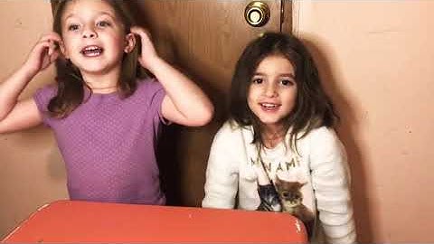 Coding critters review