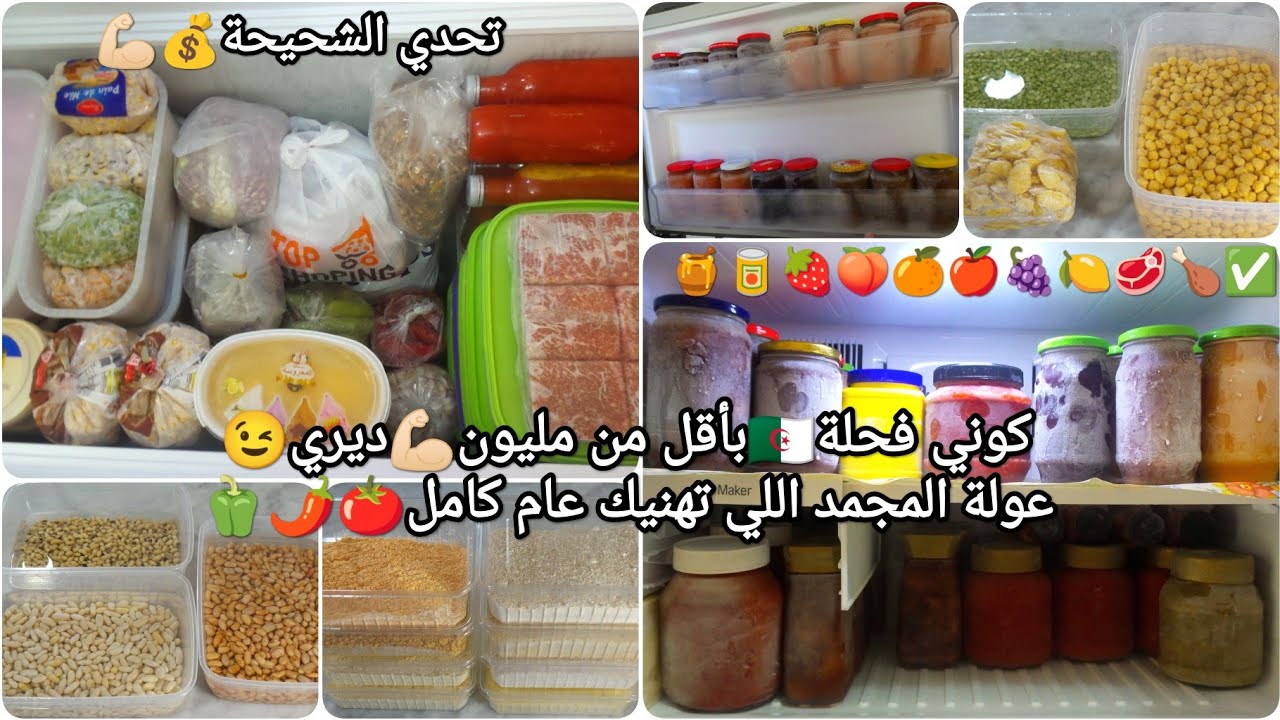 عييتي من التخمام😥لكريدي😰شهرية قليلة💰جبتلك الحل😁كيفاش تديري عولة المجمد تكفيك عام كامل📢من🥶حتى لرمضان