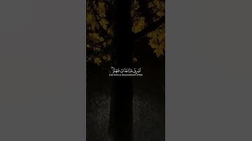القرآن الكريم 🌷 #اكسبلور #المصحف #الرحمن #لايك