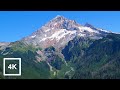 Timberline Trail | Bald Mountain | Views &amp; Scenery | Mount Hood National Forrest | Treadmill Hike