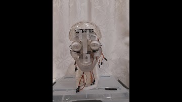 InMoov i2Head build Deel 3