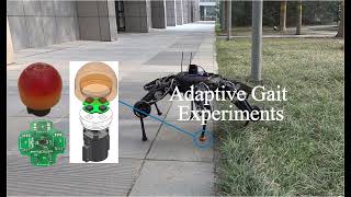 Improved Mobility Efficiency of Hexapod Robot Based on Contact Parameter Identification