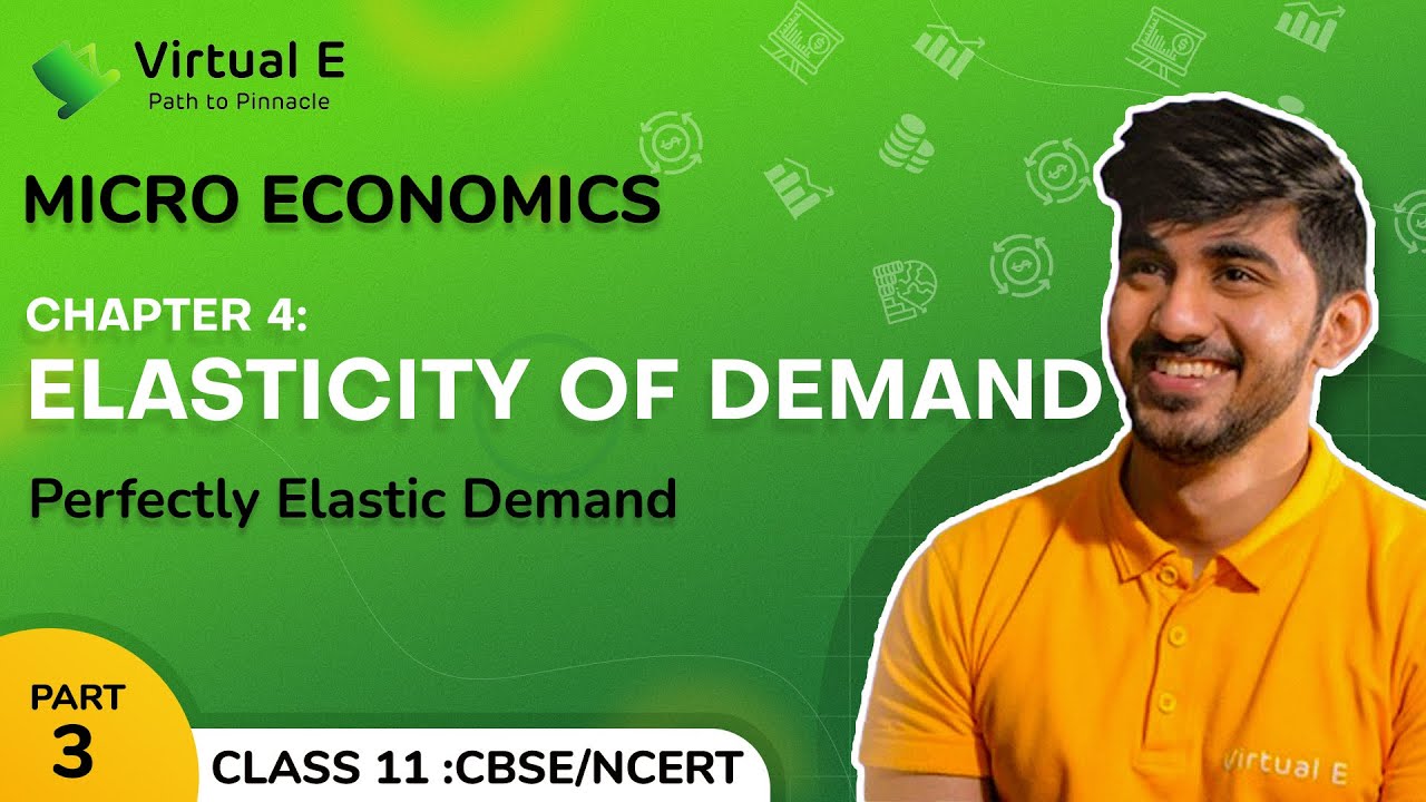 Class 11 Microeconomics Ch 4 | Elasticity of Demand | 3 - Perfectly Elastic Demand