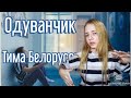 Тима Белорусских – Одуванчик / Моя касета - твой первый диск / Реакция