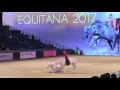 Carla Pelissier отрывок выступления на EQUITANA