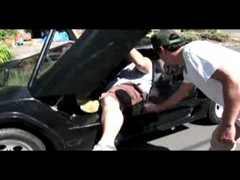 Fat Man Lambo Limbo