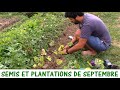 QUE SEMER ET PLANTER EN SEPTEMBRE ?