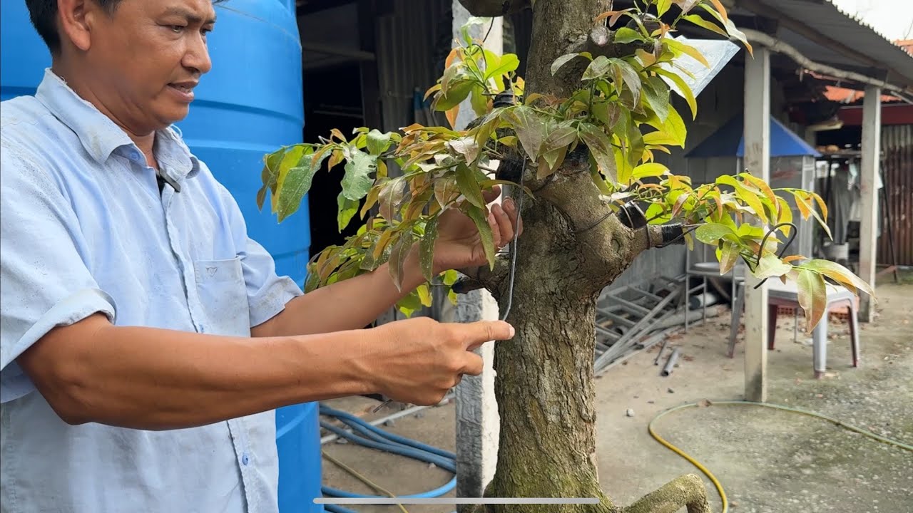 Mai ghép xong nên vô kẽm uống luôn hay chỉ bợ cho không gãy tượt 8/6/2025