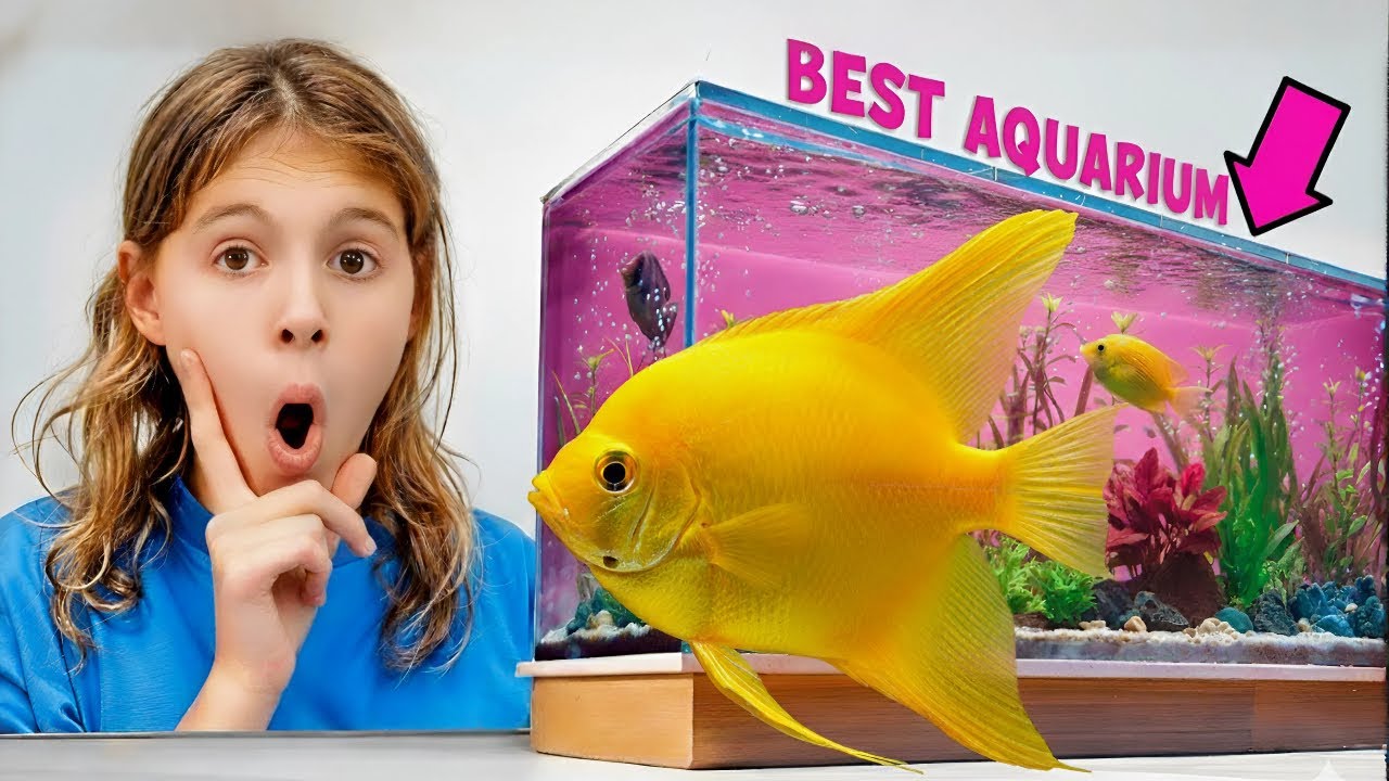 Лучший аквариум выигрывает $10 000!