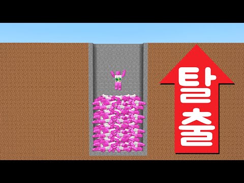 [로블록스] 깊은 구멍에 빠져버렸어요!!! 피그를 쌓아서 탈출해요!!