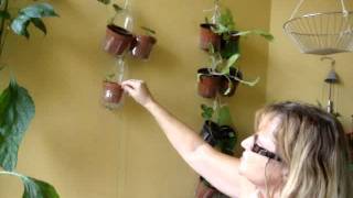 Hanging Wall Plant Holders