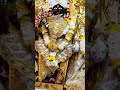 જય શ્રી સ્વામિનારાયણ જય શ્રી ગોપીનાથજીમહારાજ #dharmkul #svg #shyam #love #song #lovesong #radheshyam