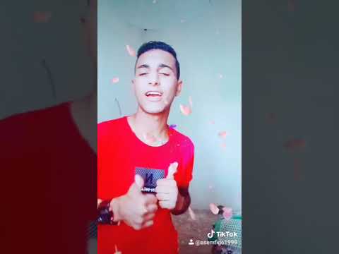 امشي خدي بعضك يلا وامشي ابوليله وفيلو ميوزكلي