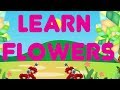 Learn flowers name for kids  flowers name in english  kids learnings  kindergartens